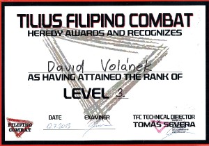 filipino-combat---level-3.jpg