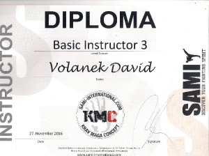 krav-maga-basic-instructor-3.jpg