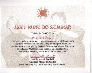 seminar-hardcore-jkd-praha-lamar-davis.jpg