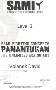 panantukan---level-2.jpg