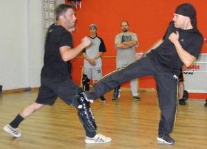 joauin-marcelo-jkd-kick.jpg